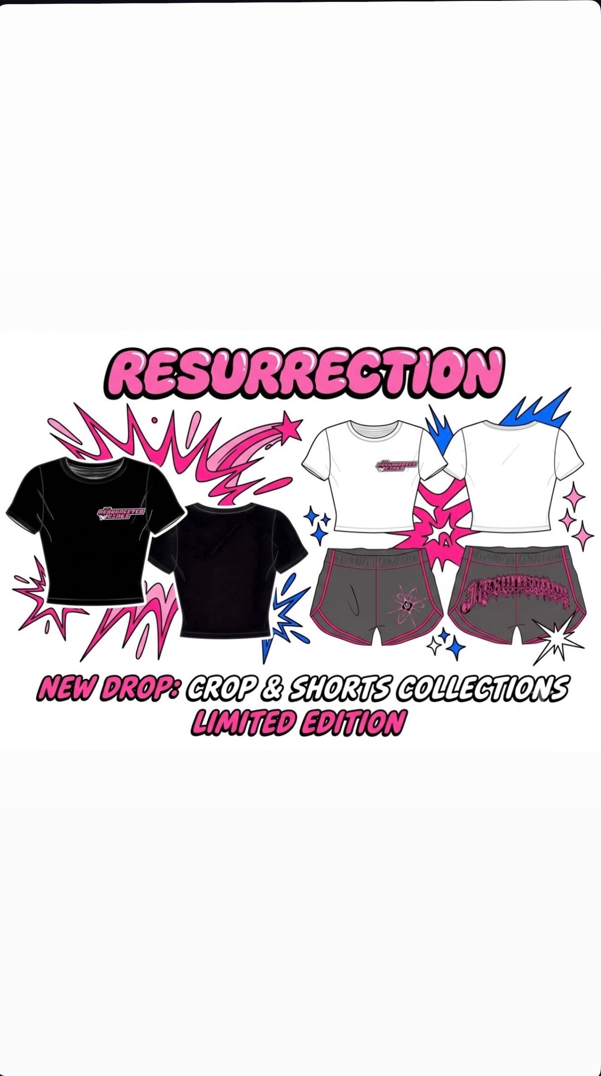 Sugar & Spice Collection